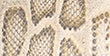 Couleur cuir - Image 66