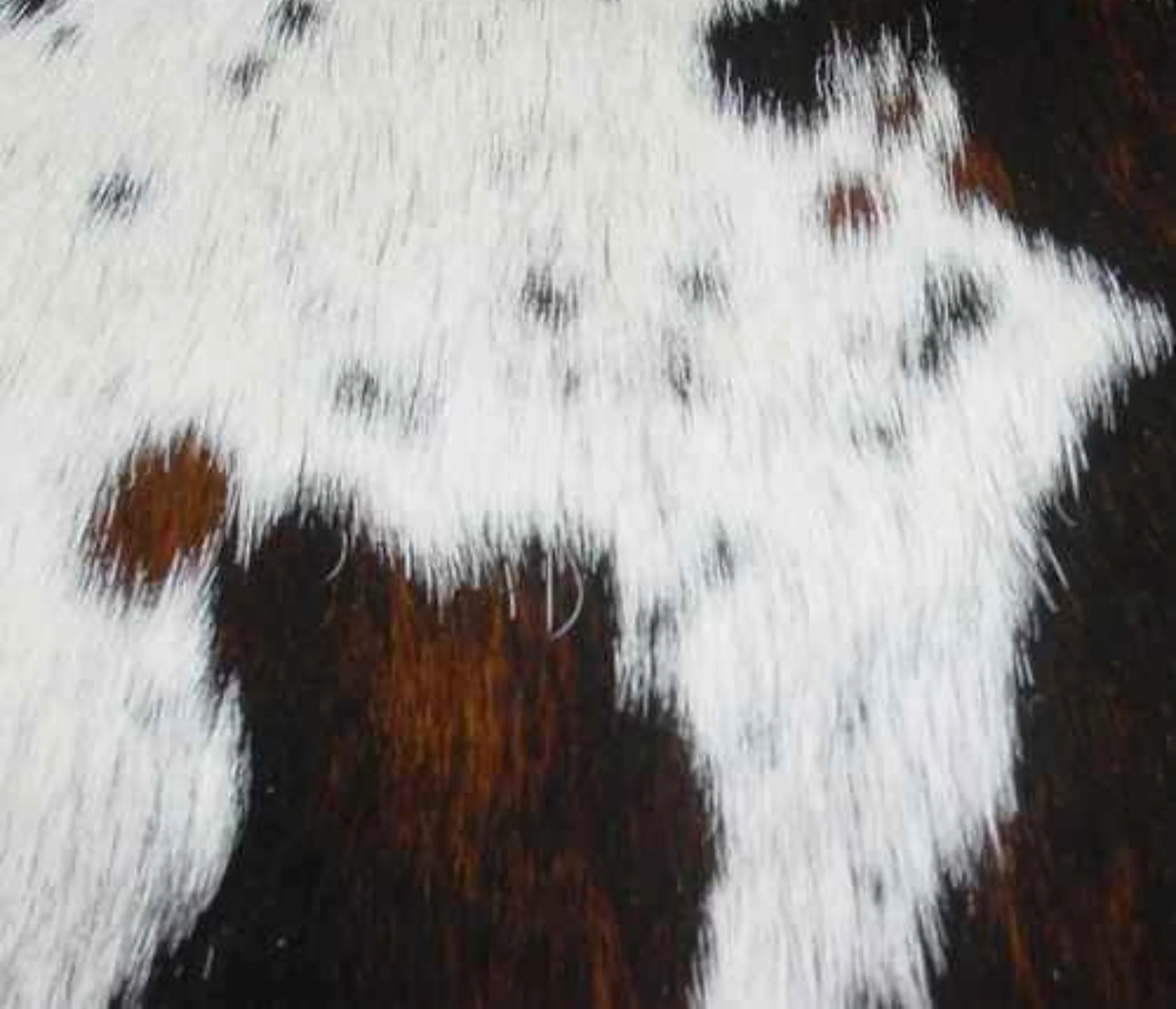 Couleur cuir - Image 18