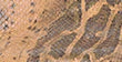Couleur cuir - Image 65